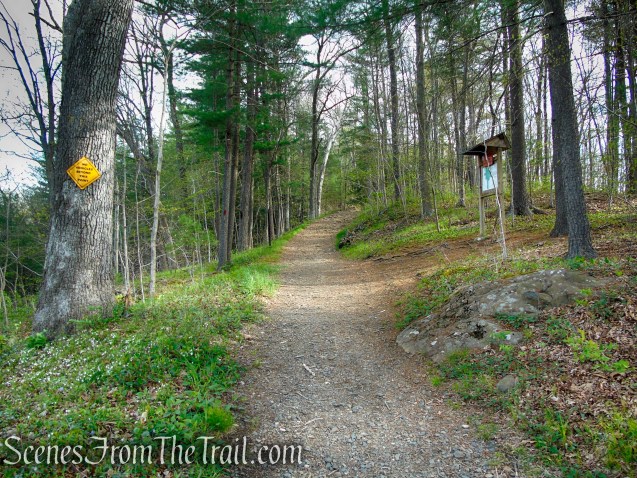 Fire Trail - Orenaug Park