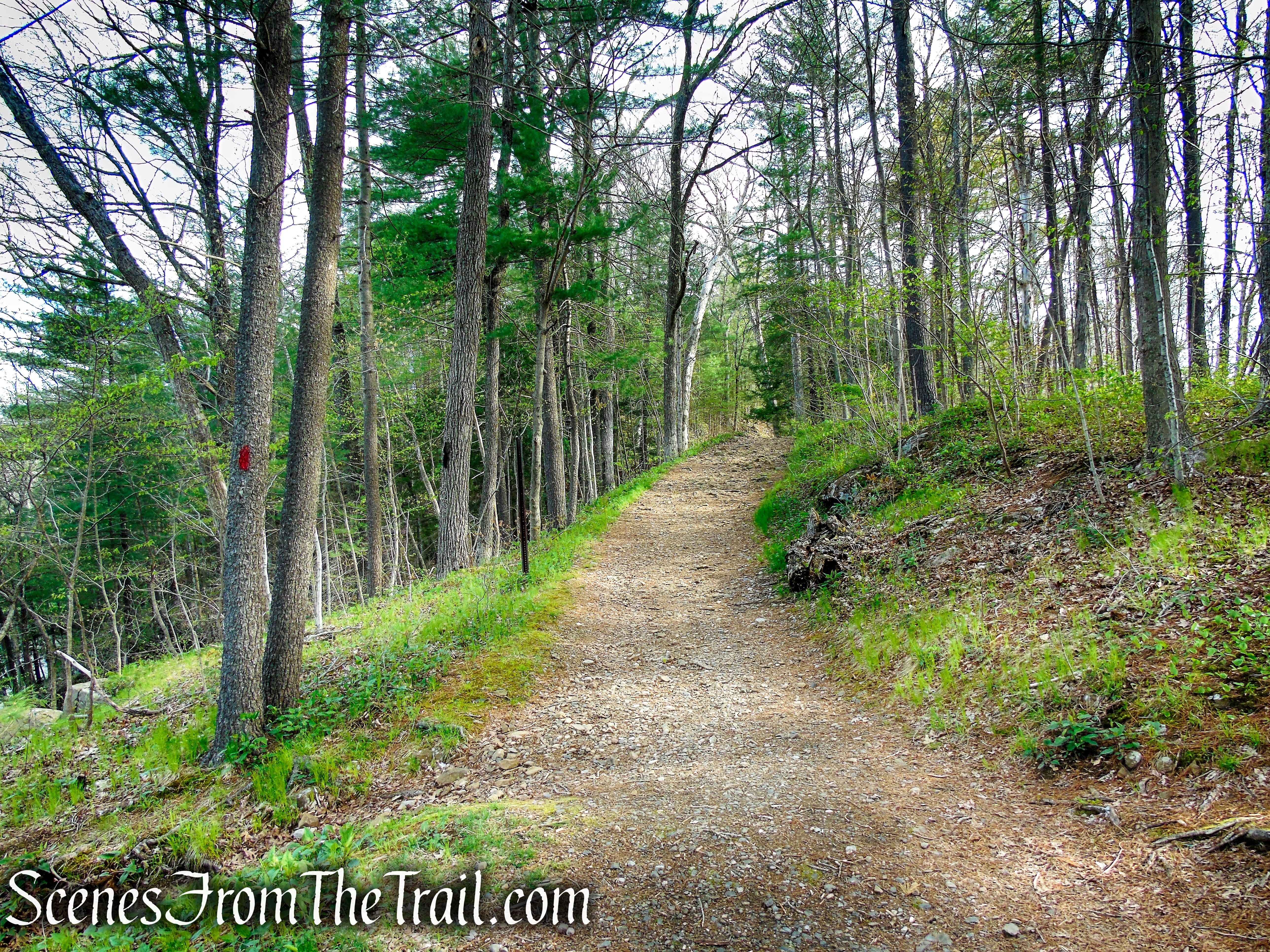 Fire Trail - Orenaug Park