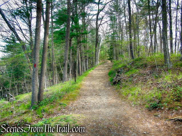 Fire Trail - Orenaug Park