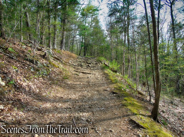 Fire Trail - Orenaug Park