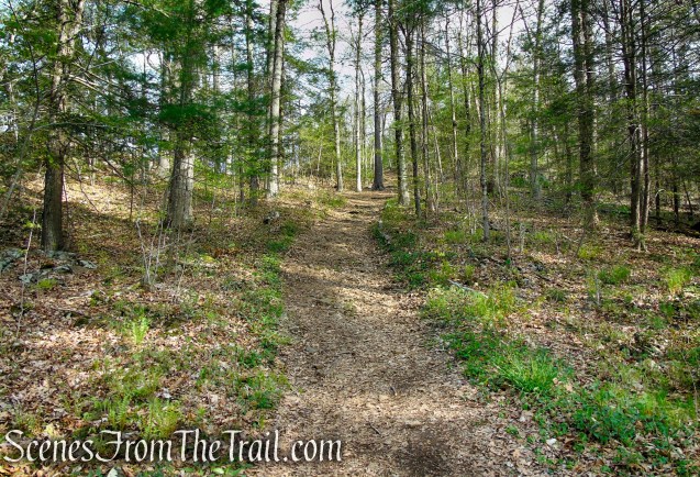 Fire Trail - Orenaug Park