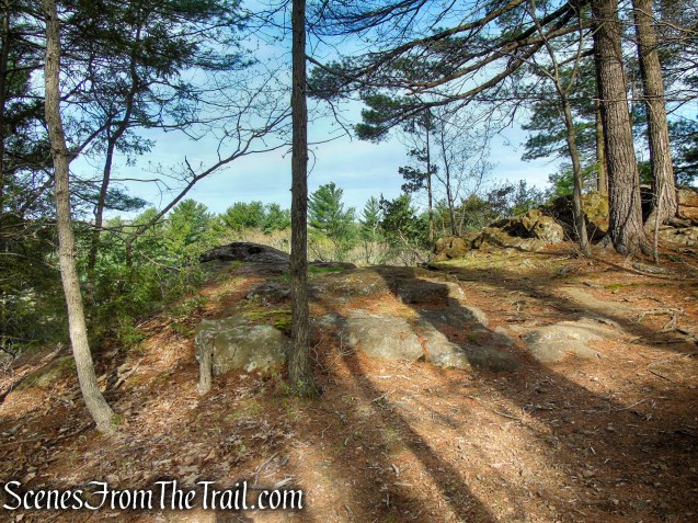 Fire Trail - Orenaug Park