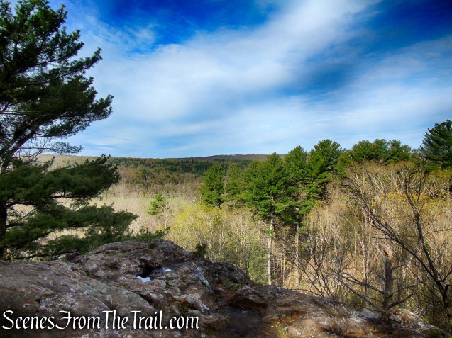 Fire Trail - Orenaug Park