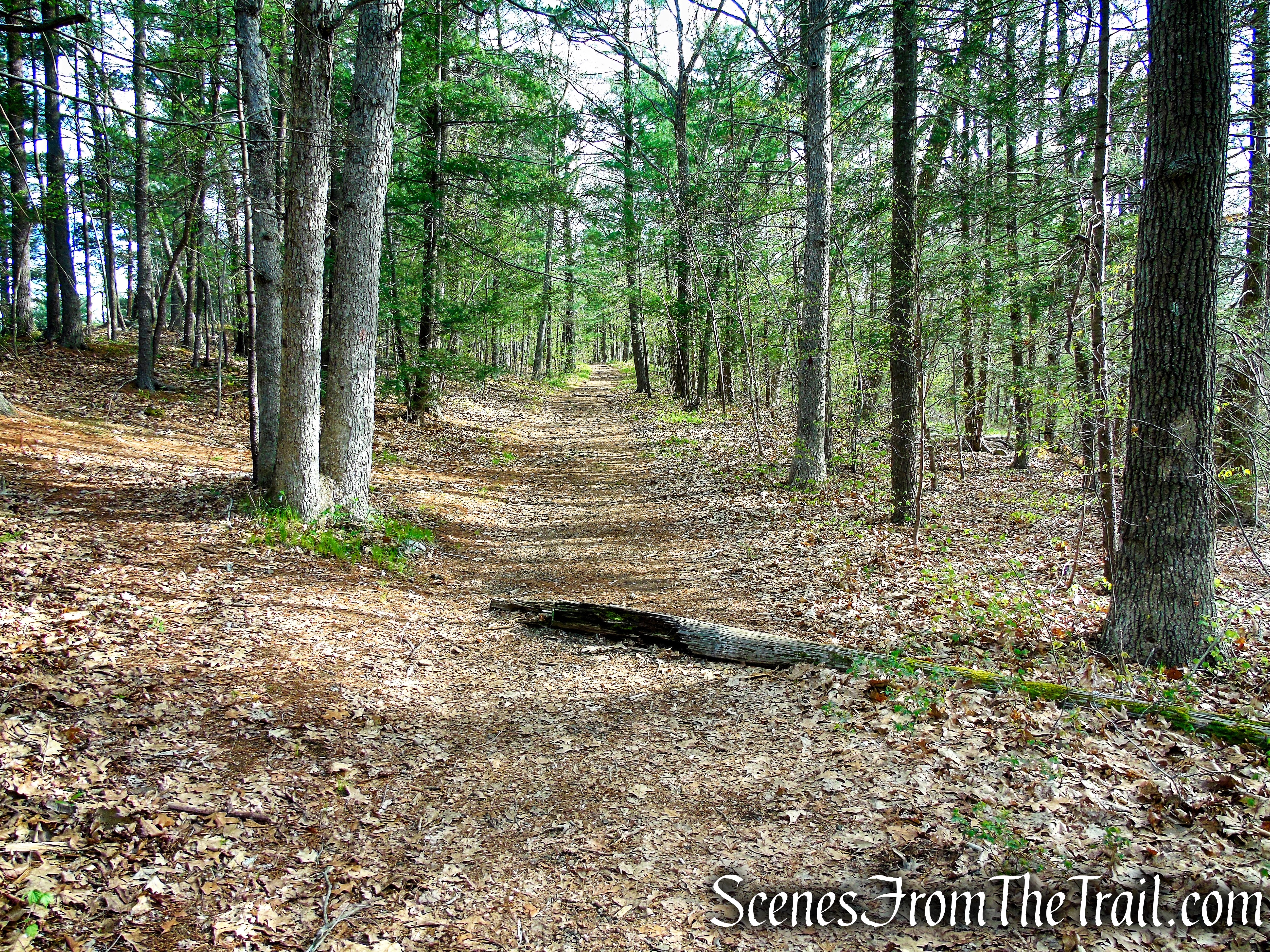 Fire Trail - Orenaug Park