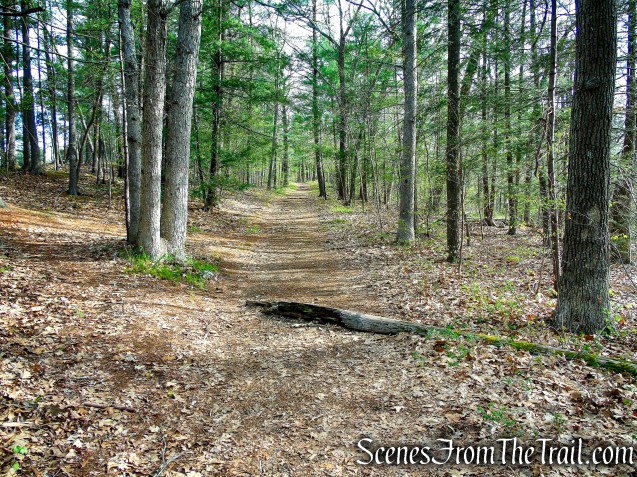 Fire Trail - Orenaug Park