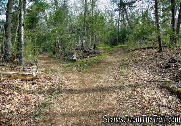 bear right to remain on Fire Trail
