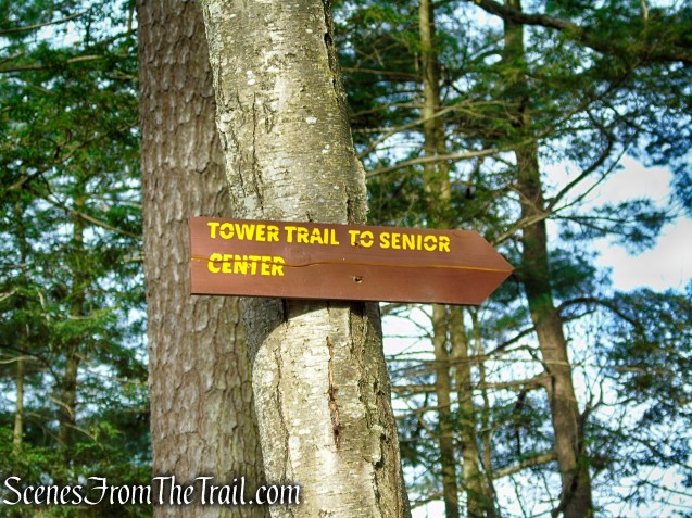 bear right to remain on Fire Trail