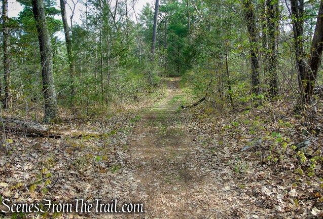 Fire Trail - Orenaug Park