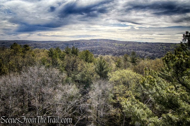 view northeast from Orenaug Park Observation Tower