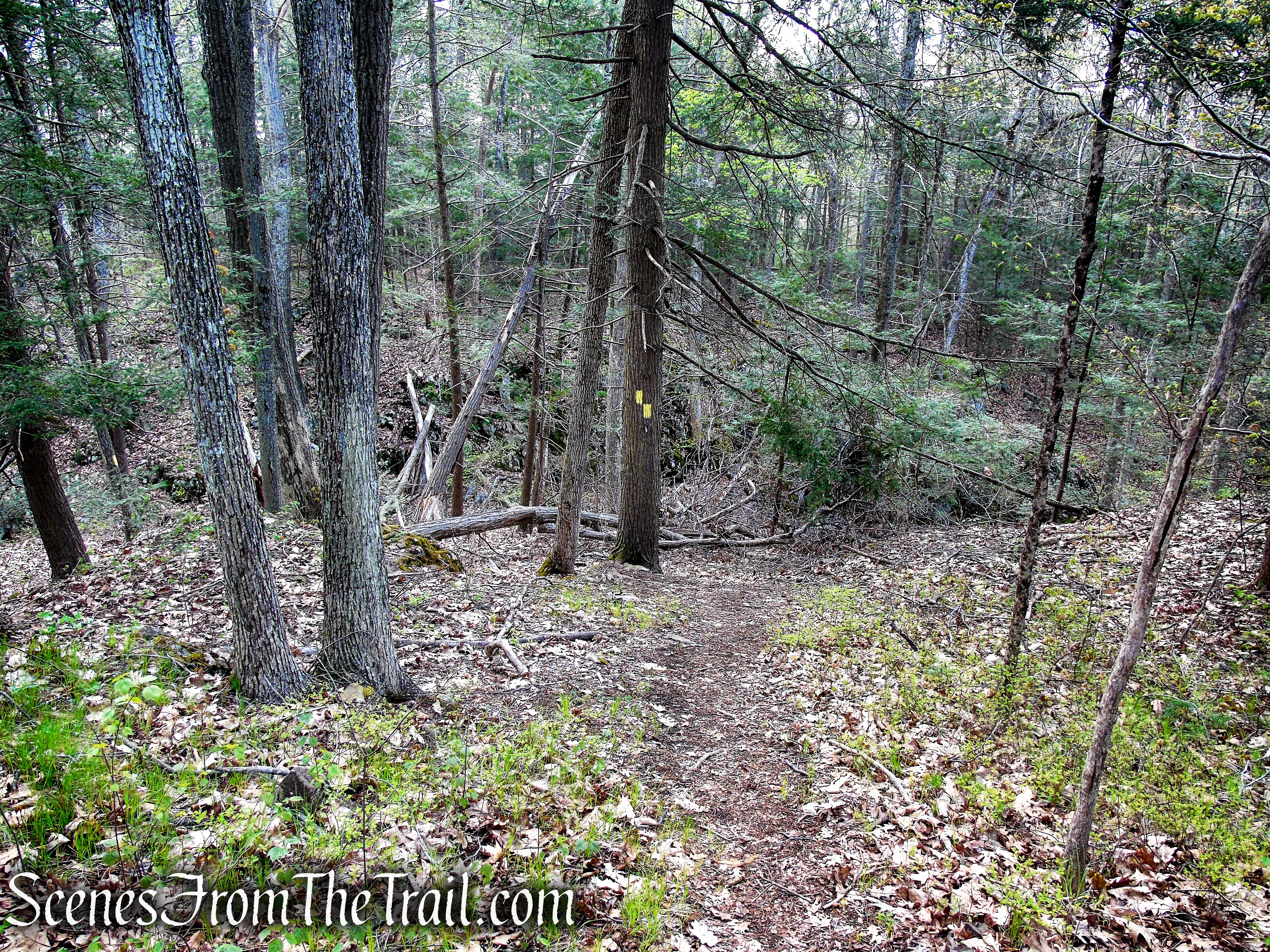 Bethel Rock Trail - Orenaug Park