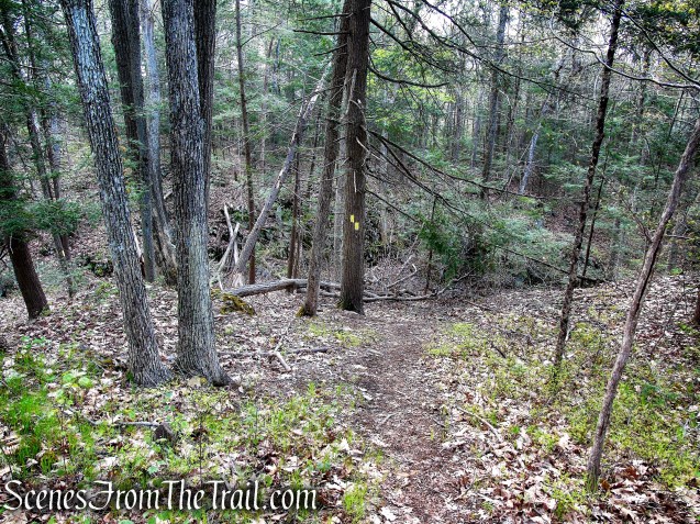 Bethel Rock Trail - Orenaug Park