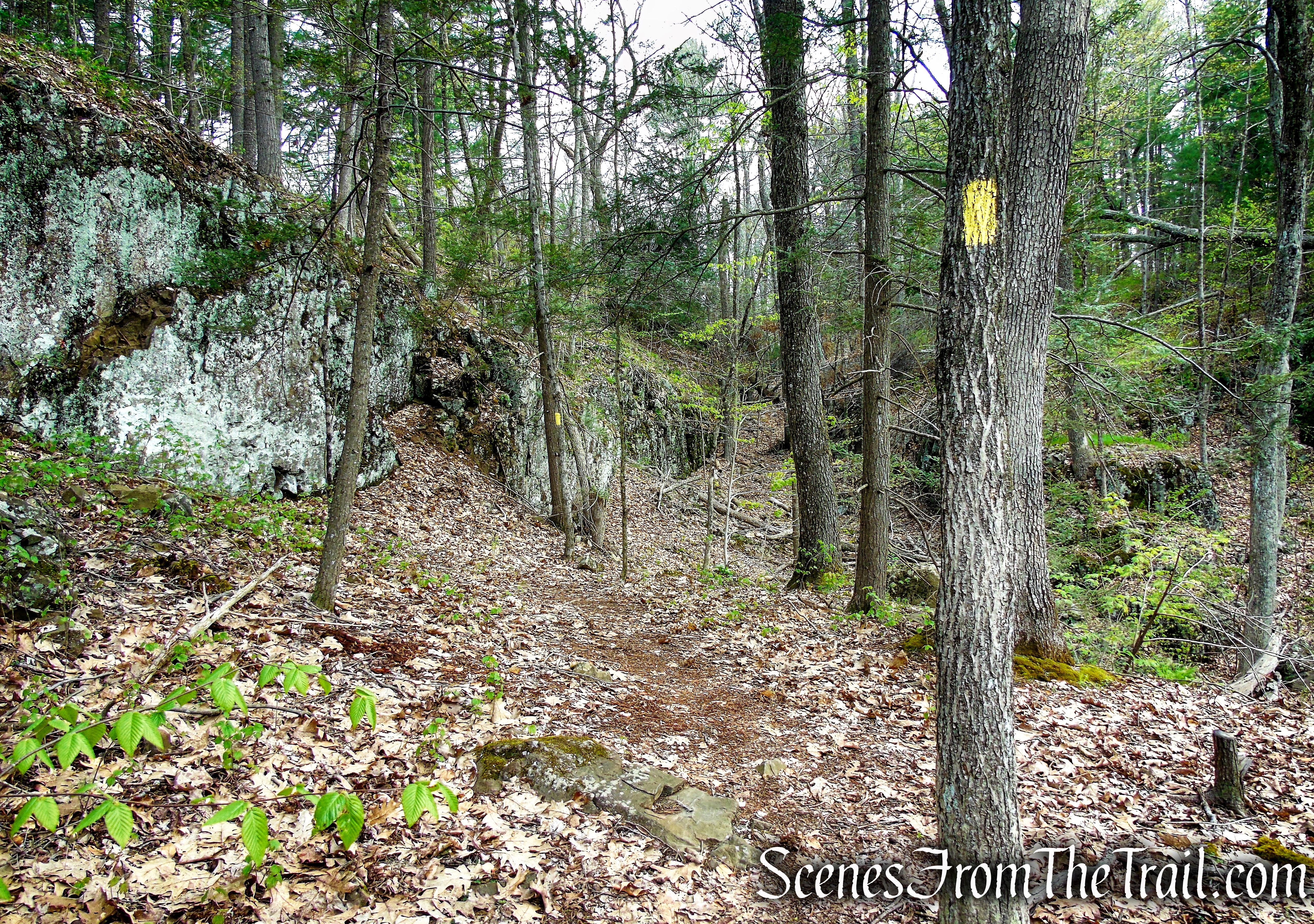 Bethel Rock Trail - Orenaug Park