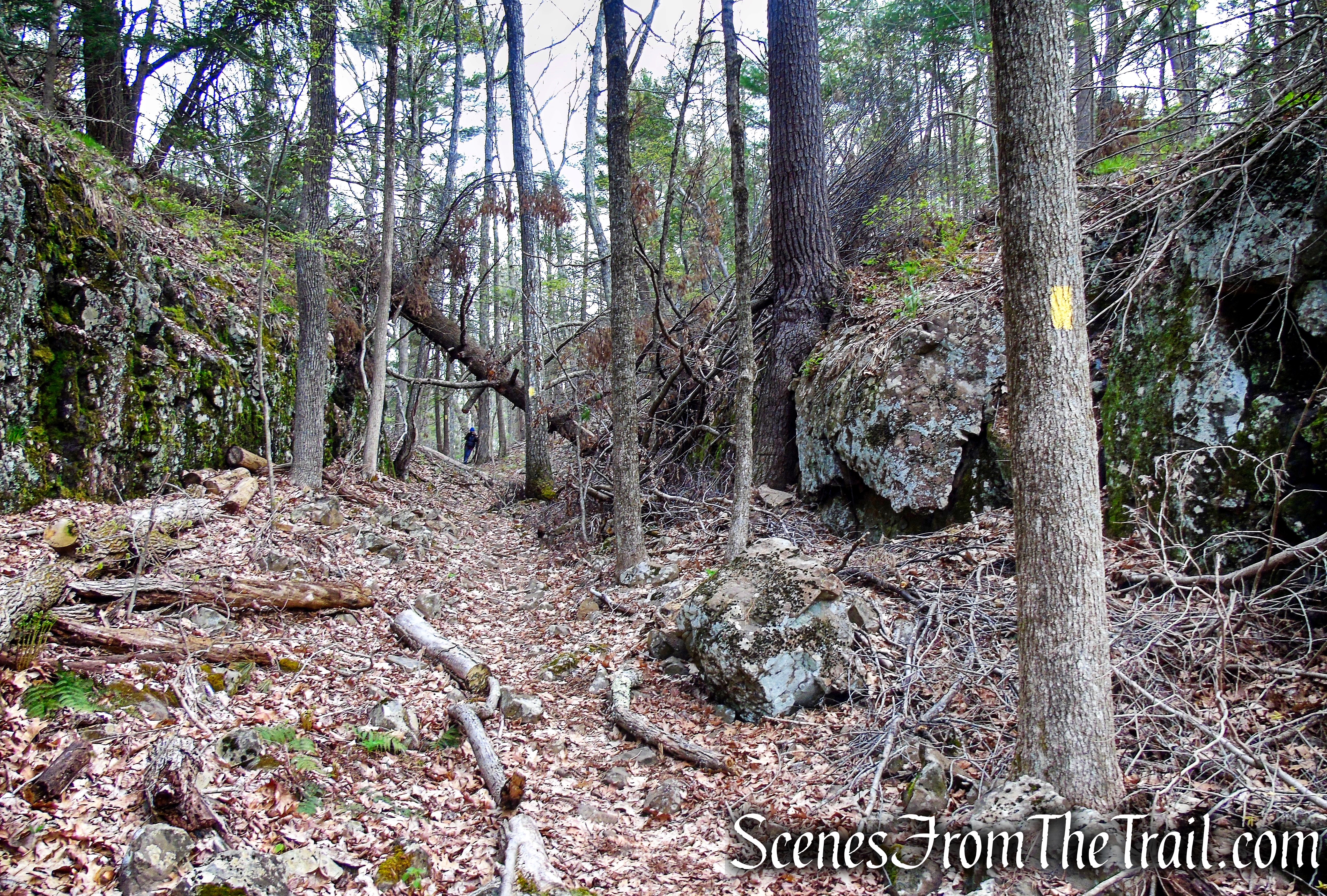 Bethel Rock Trail - Orenaug Park