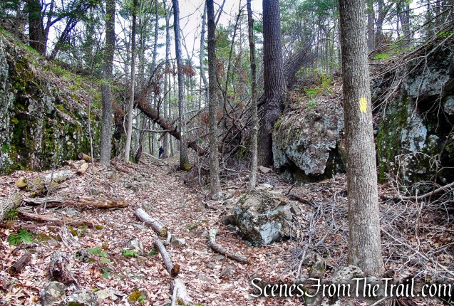 Bethel Rock Trail - Orenaug Park