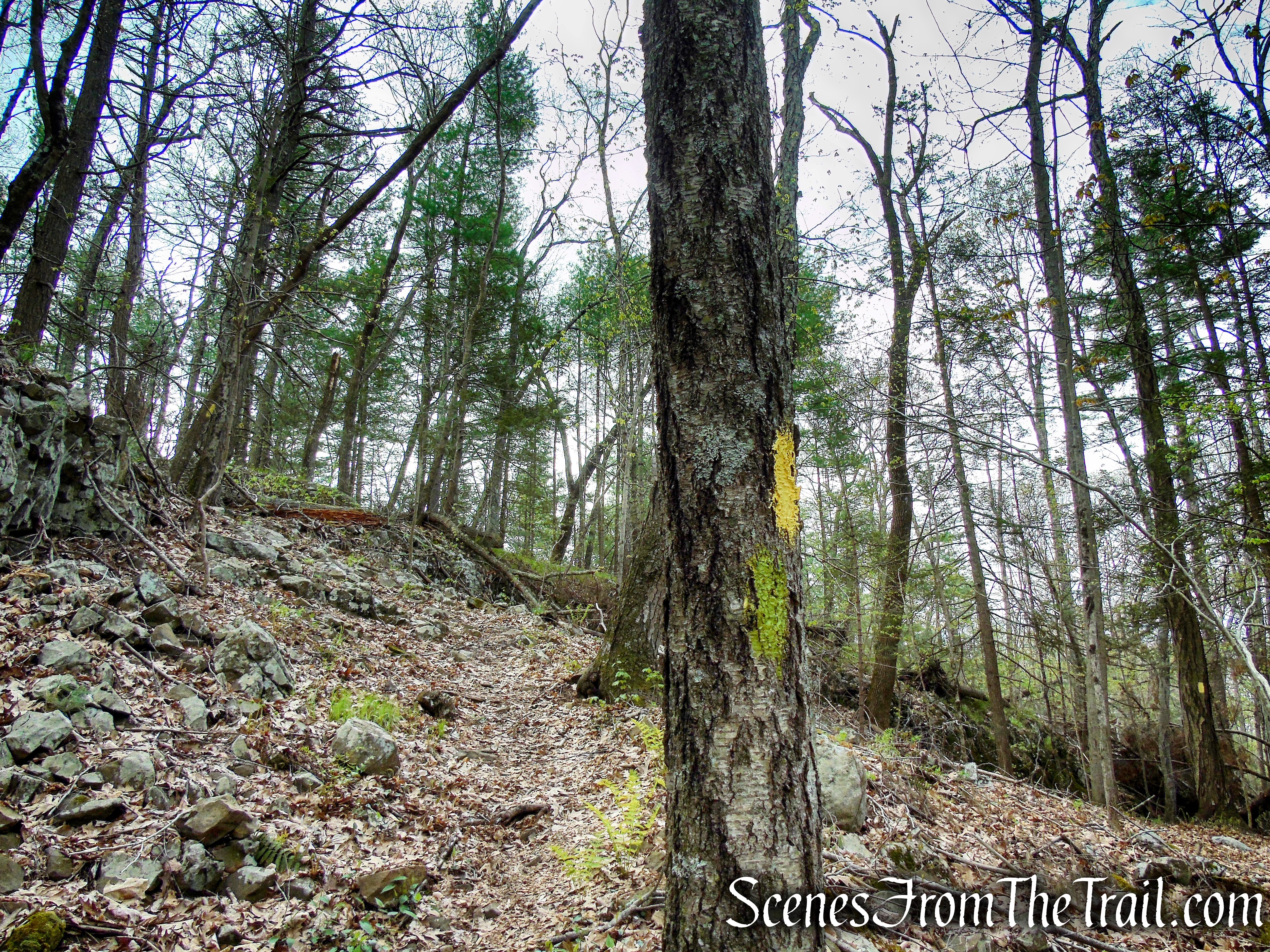Bethel Rock Trail - Orenaug Park