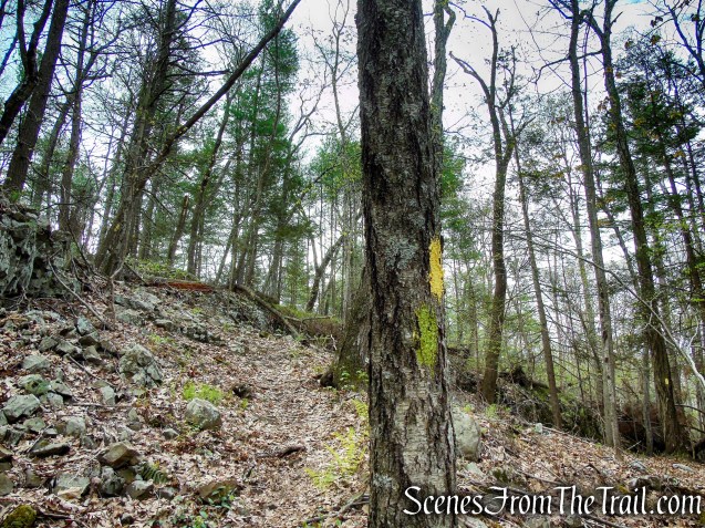 Bethel Rock Trail - Orenaug Park