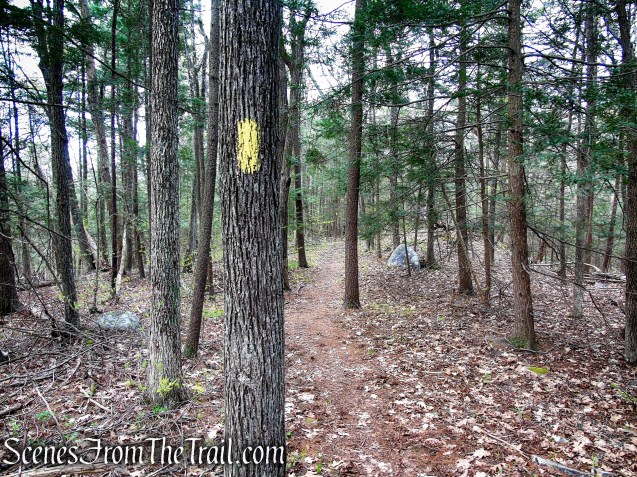 Bethel Rock Trail - Orenaug Park
