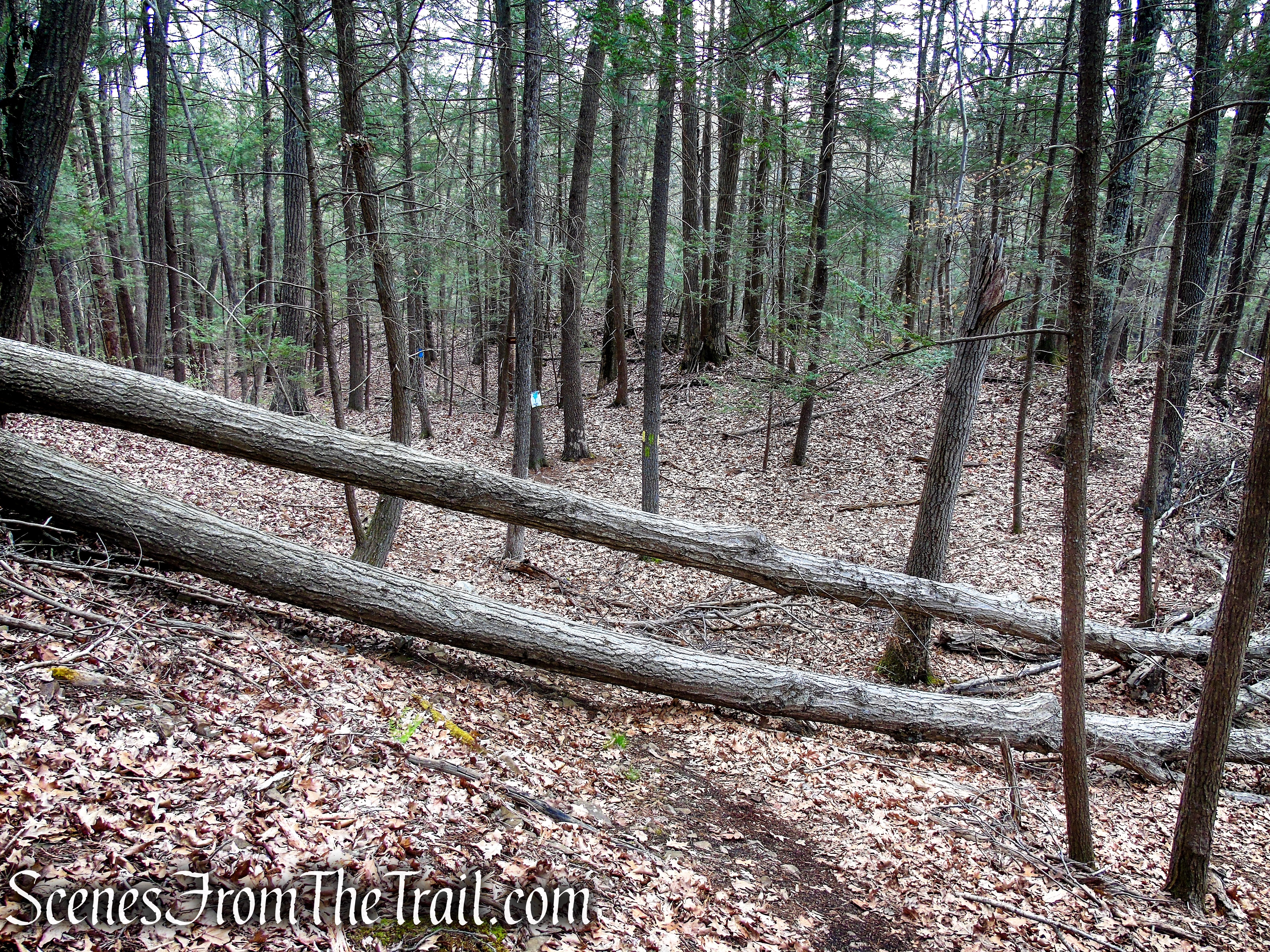 Bethel Rock Trail - Orenaug Park