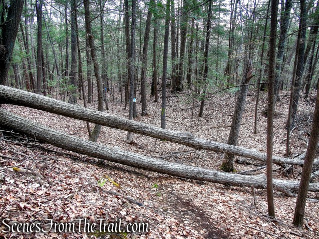 Bethel Rock Trail - Orenaug Park