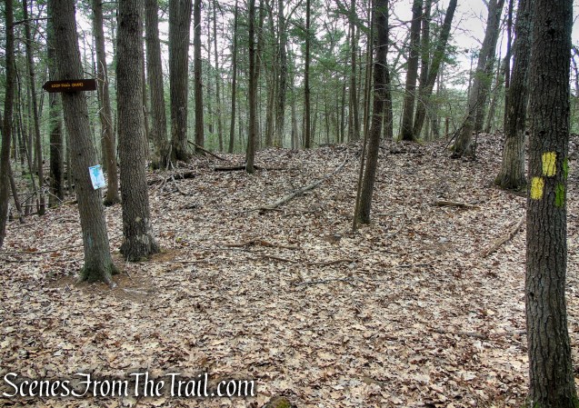 turn left on Loop Trail
