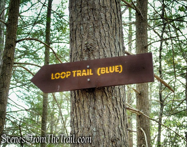 turn left on Loop Trail