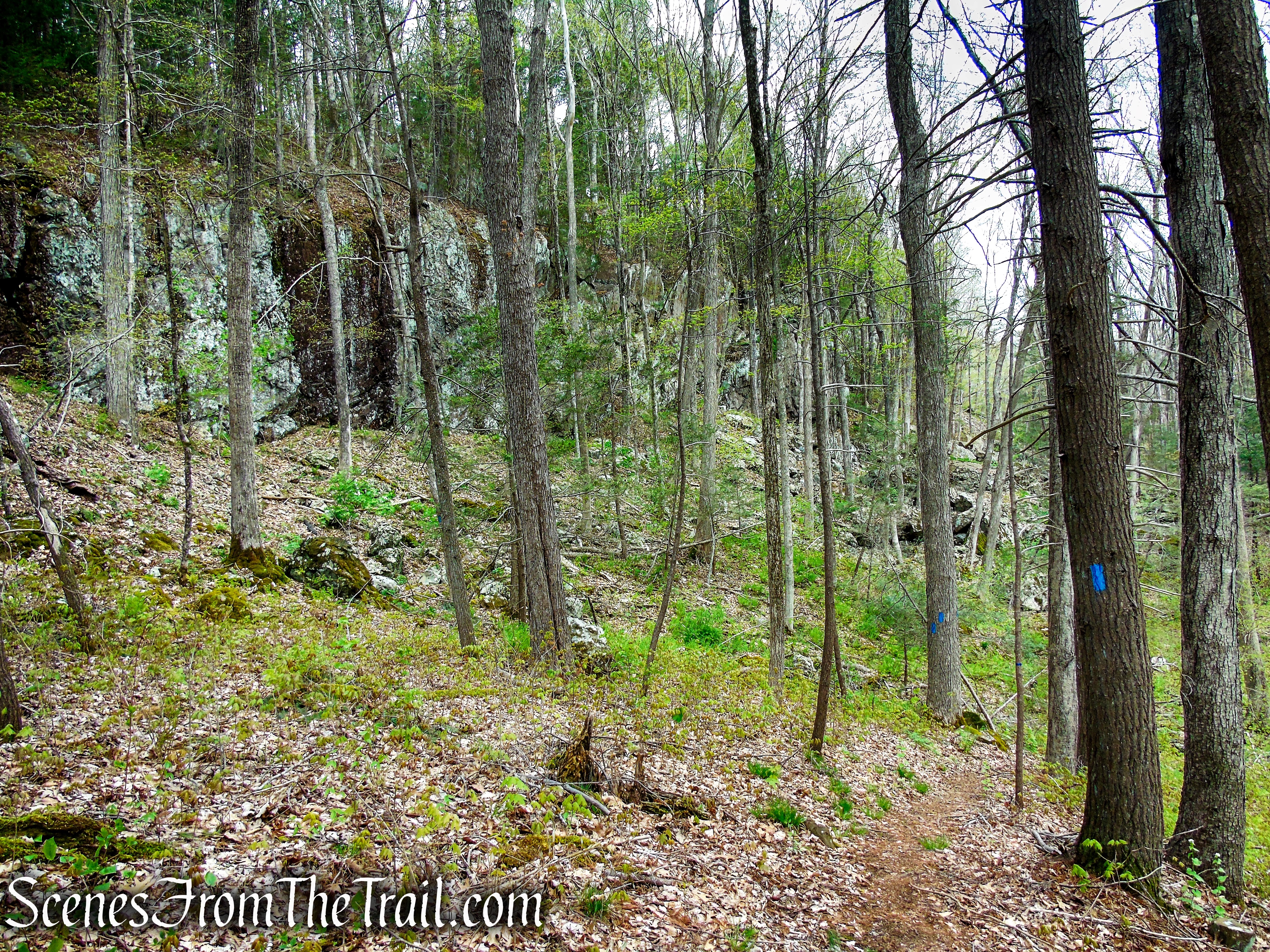 Loop Trail - Orenaug Park