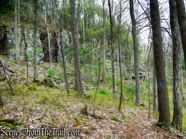 Loop Trail - Orenaug Park