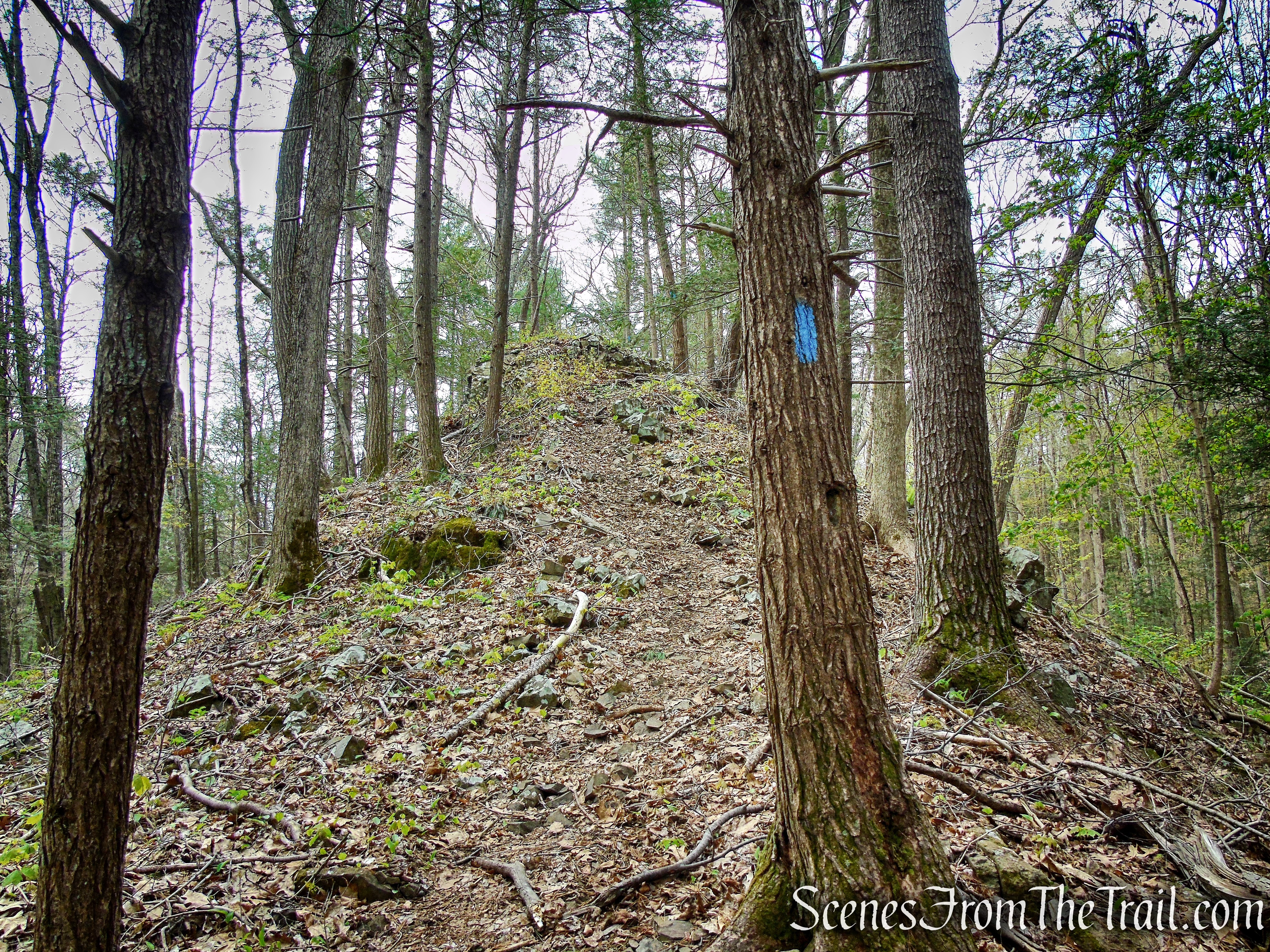 Loop Trail - Orenaug Park