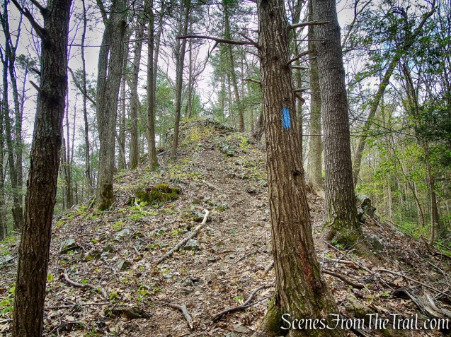 Loop Trail - Orenaug Park