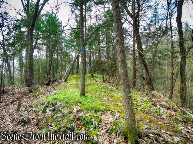 Loop Trail - Orenaug Park