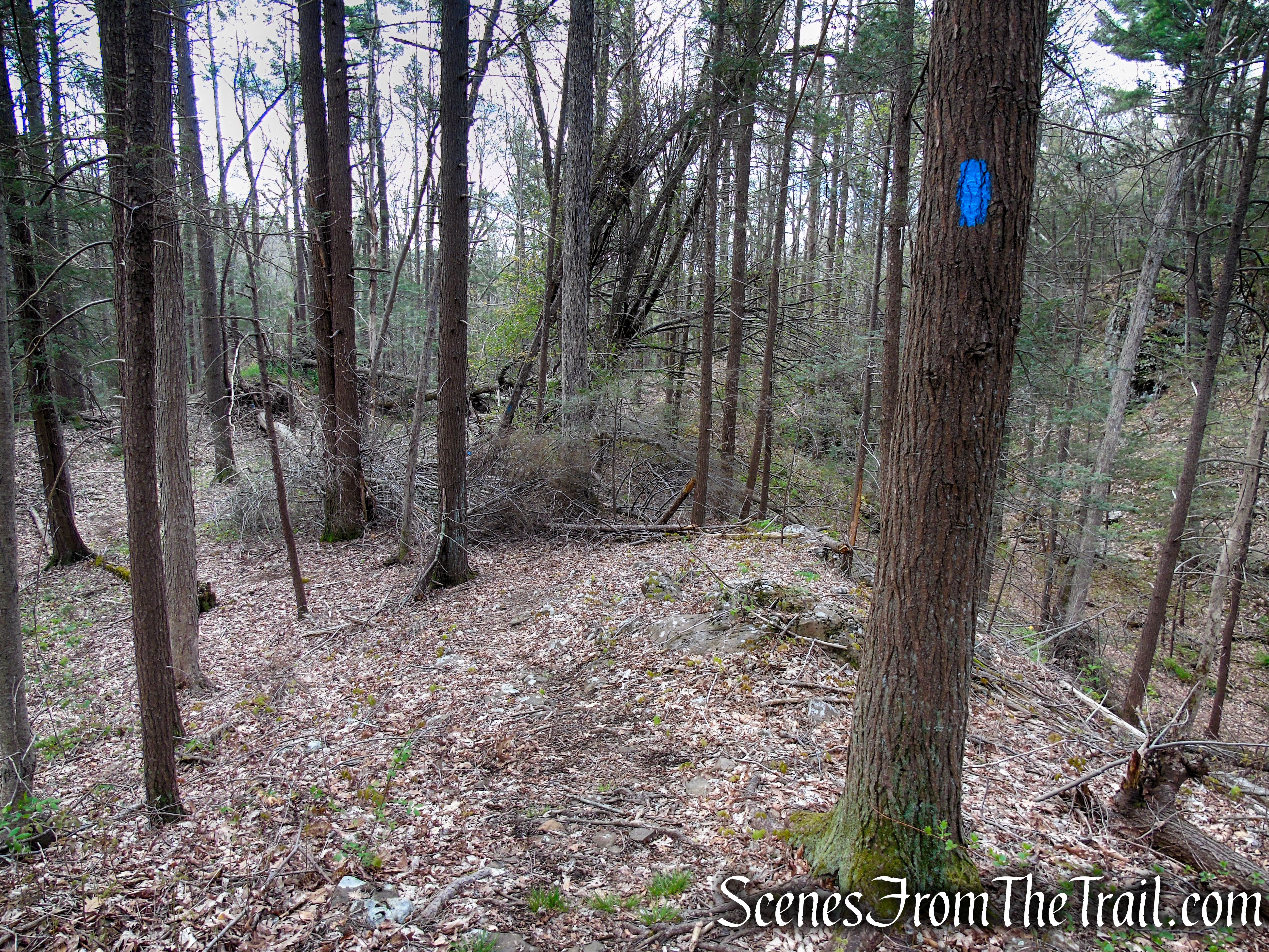 Loop Trail - Orenaug Park