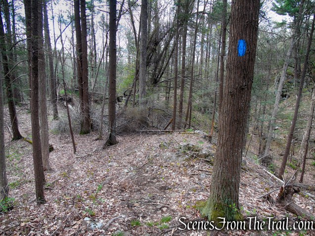 Loop Trail - Orenaug Park