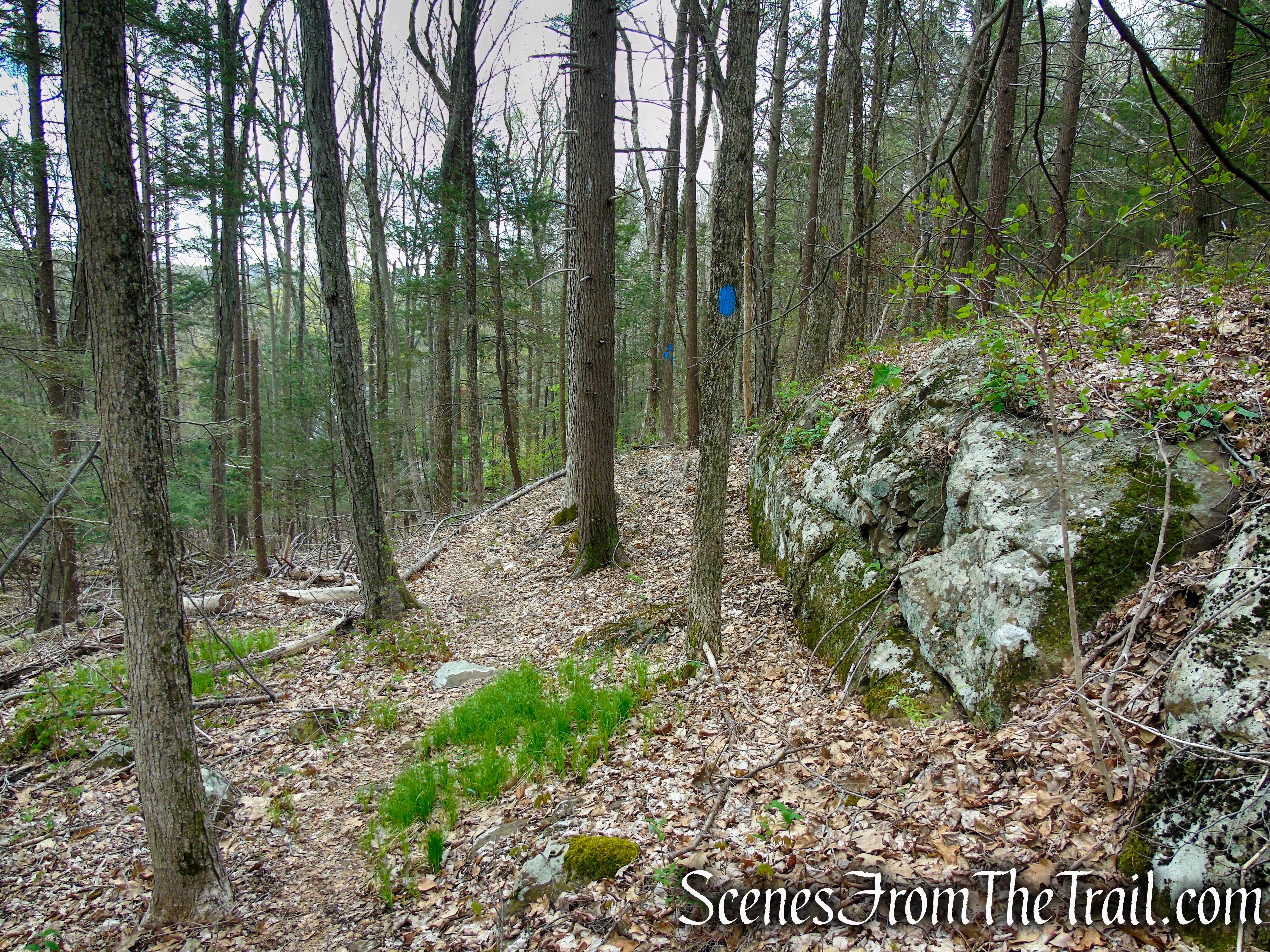 Loop Trail - Orenaug Park