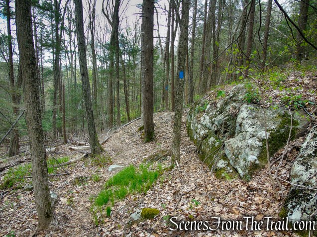 Loop Trail - Orenaug Park