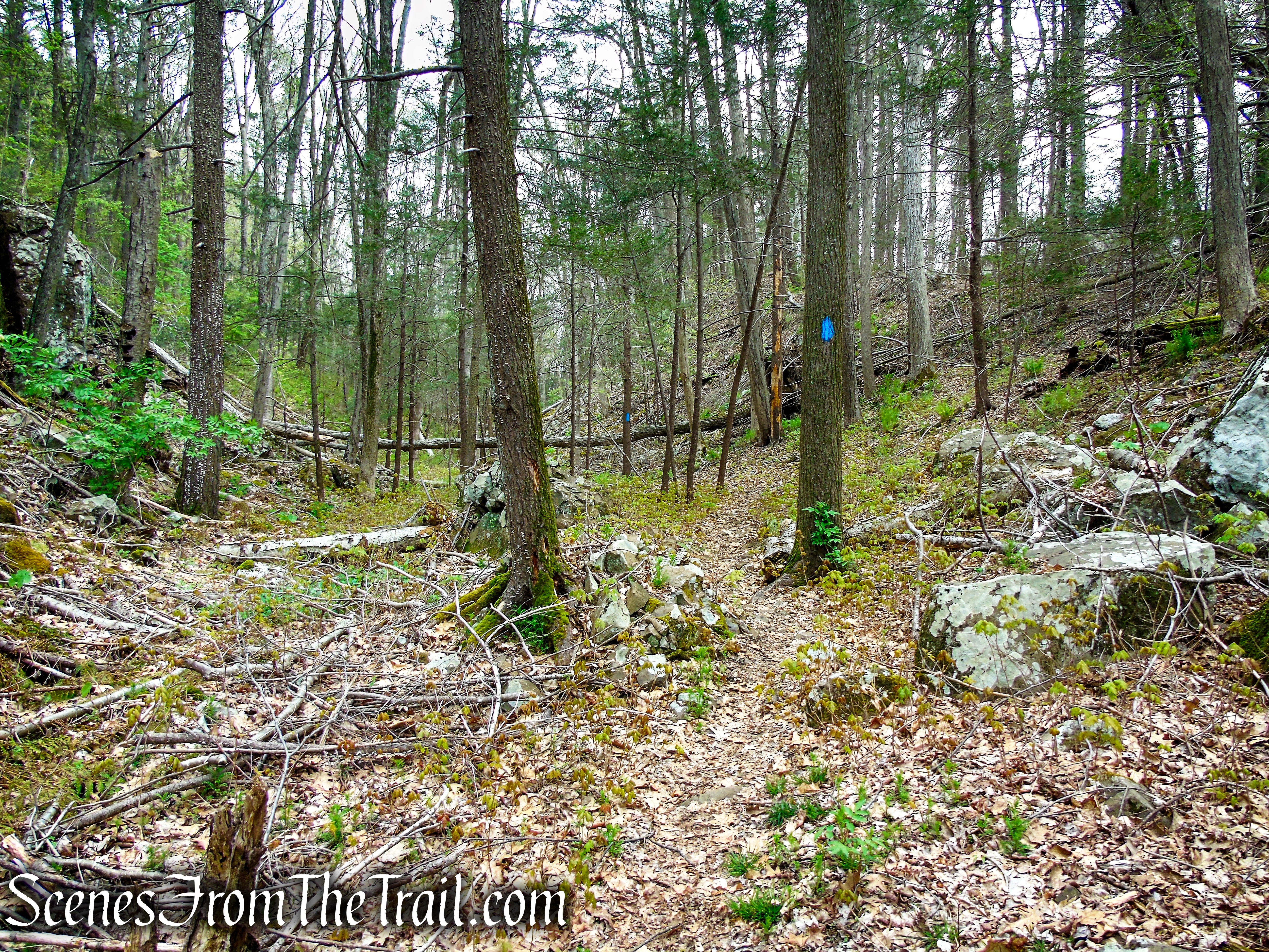 Loop Trail - Orenaug Park