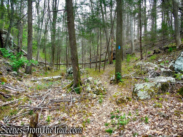 Loop Trail - Orenaug Park