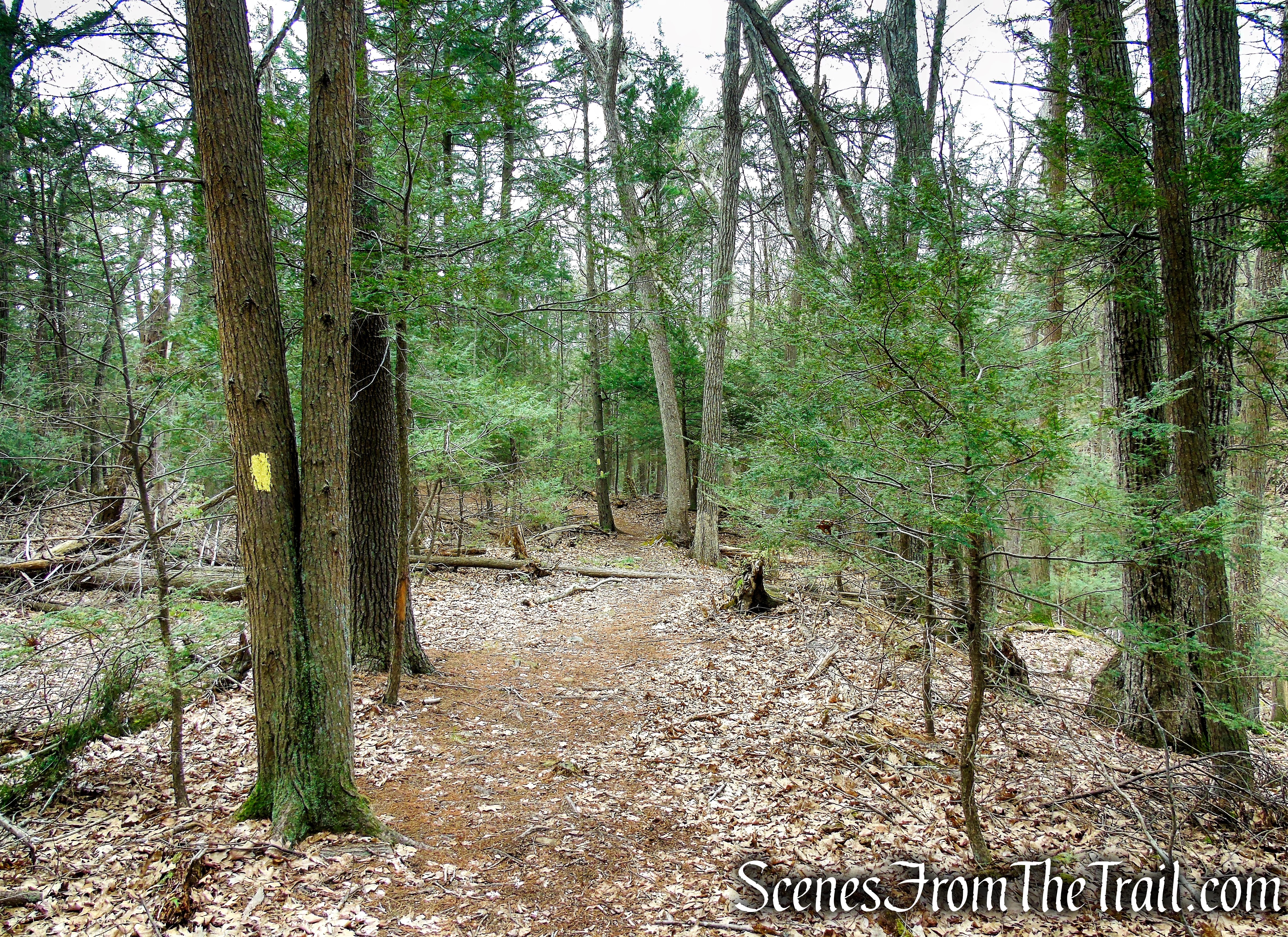 Bethel Rock Trail - Orenaug Park