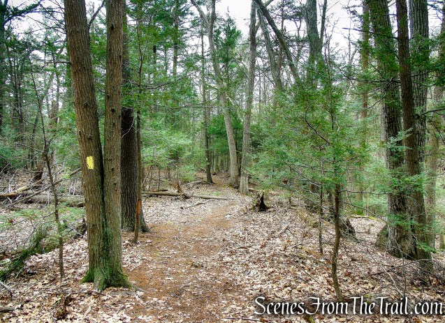 Bethel Rock Trail - Orenaug Park