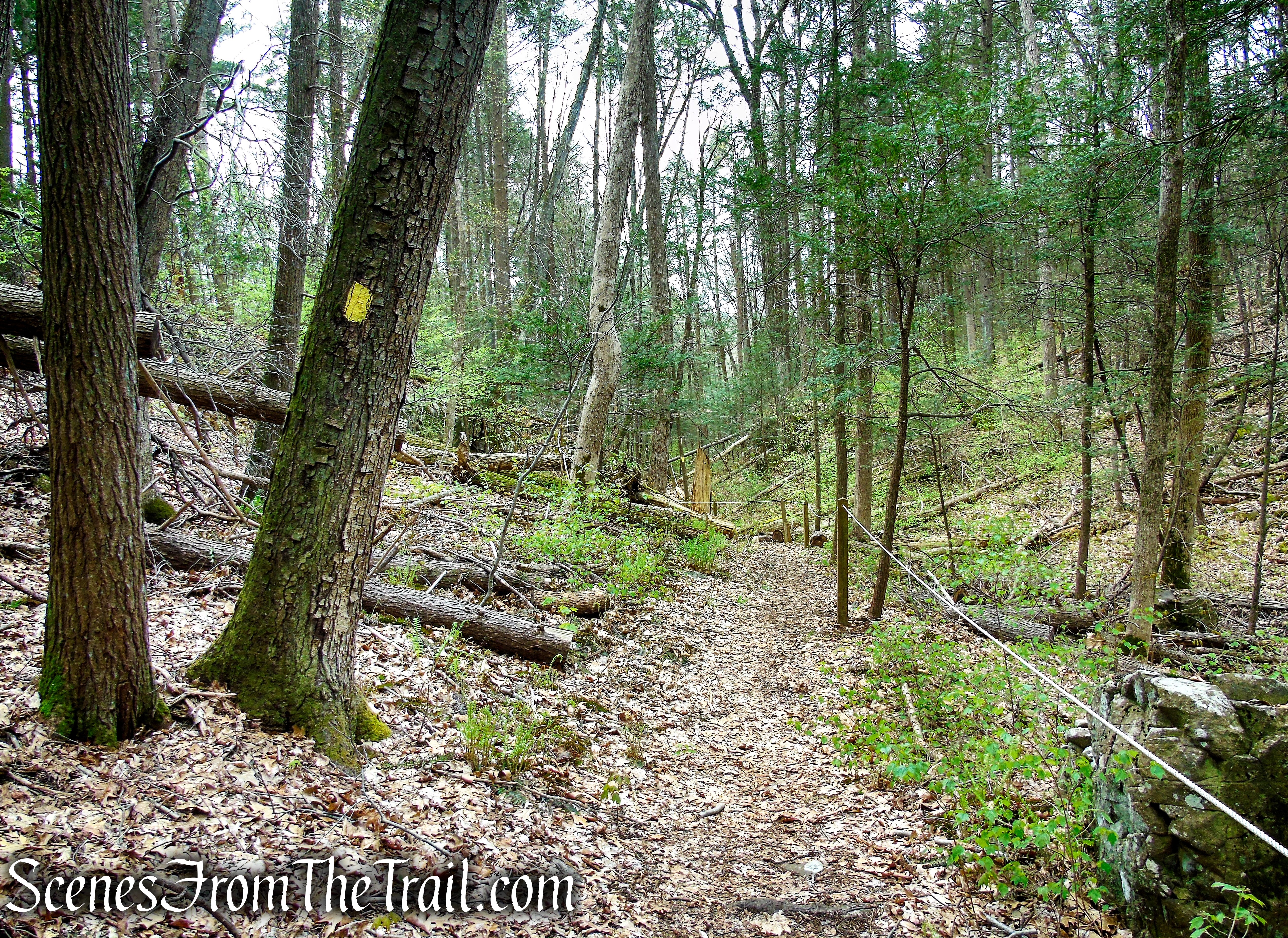 Bethel Rock Trail - Orenaug Park