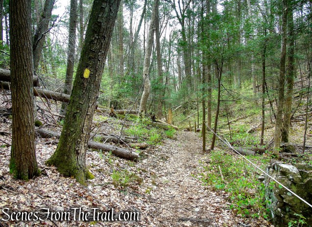 Bethel Rock Trail - Orenaug Park