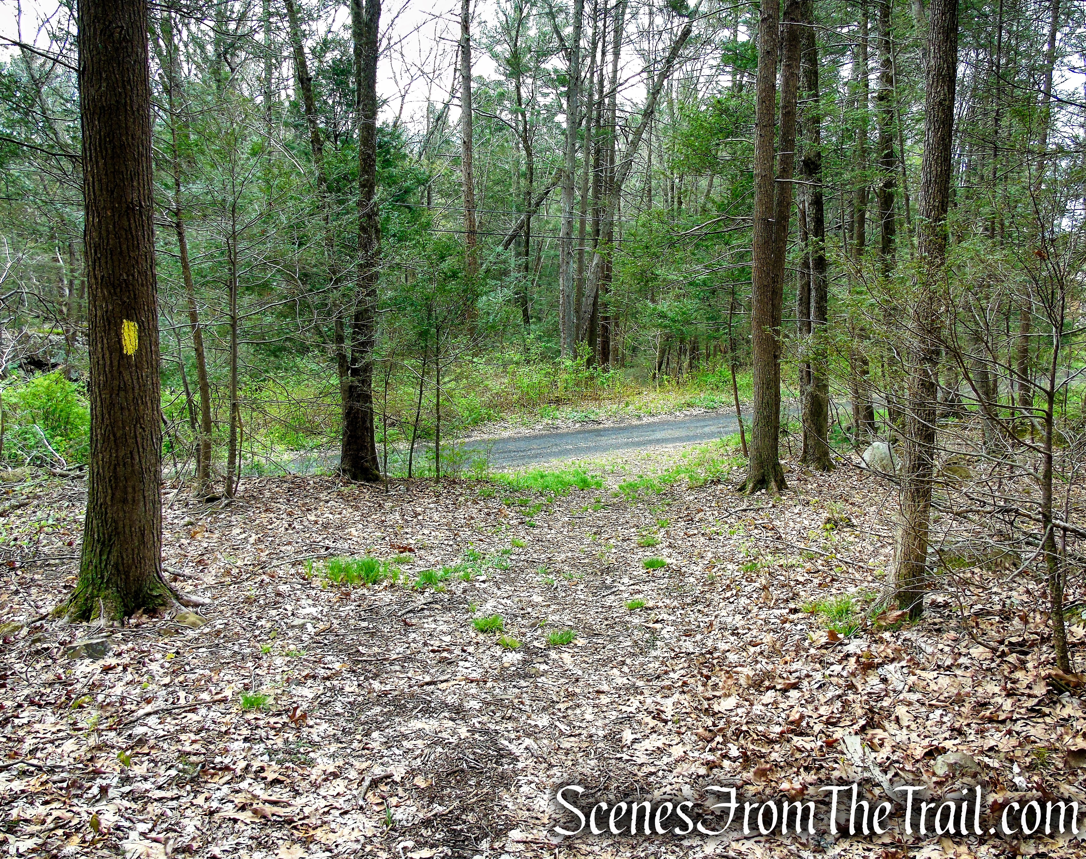 Bethel Rock Trail - Orenaug Park