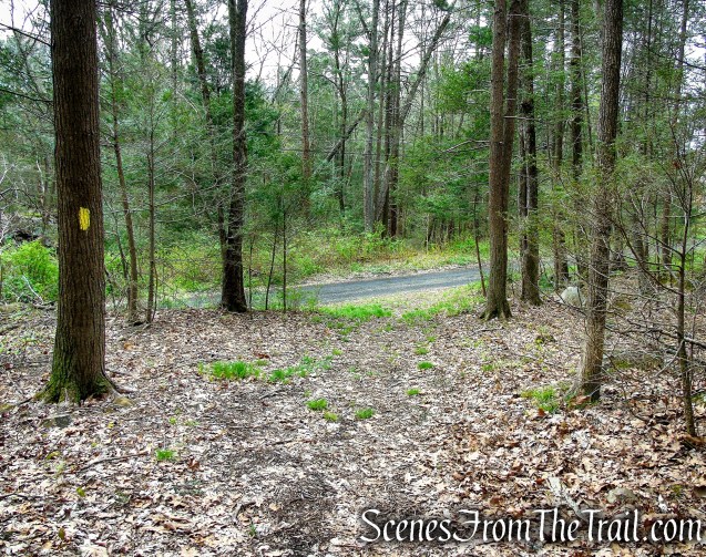 Bethel Rock Trail - Orenaug Park