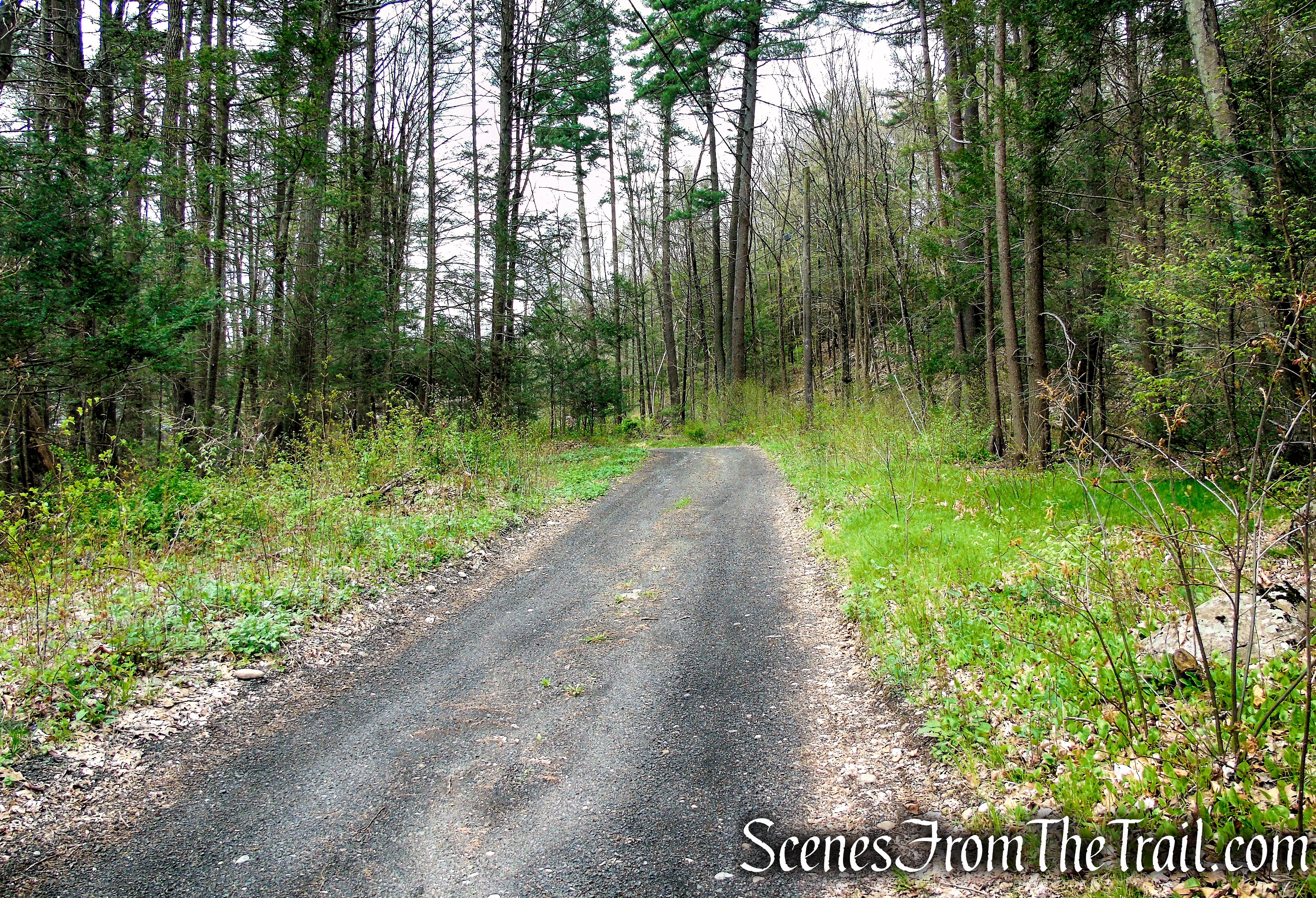 Park Lane - Woodbury