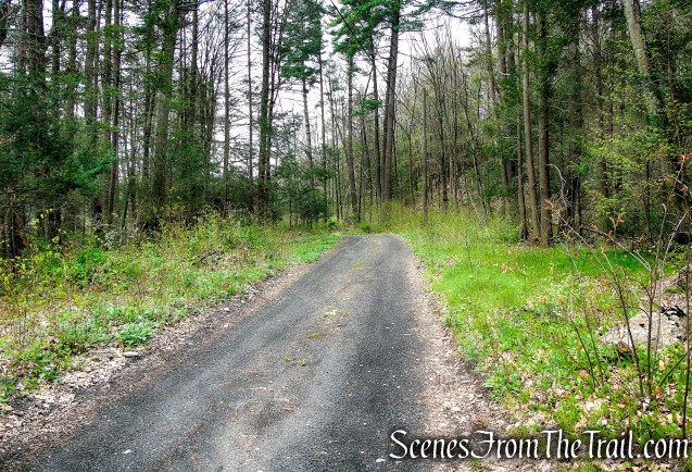 Park Lane - Woodbury