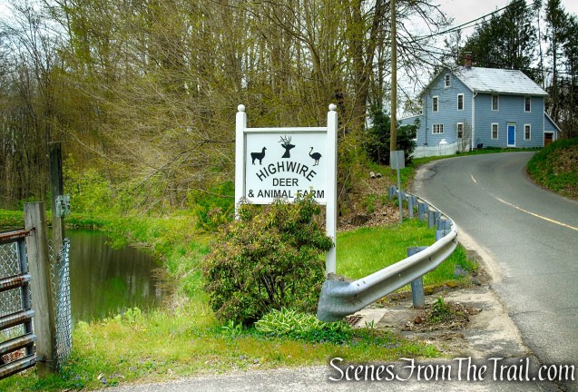 Park Road - Woodbury