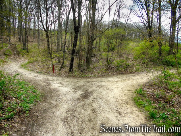 bear left at the fork for the loop
