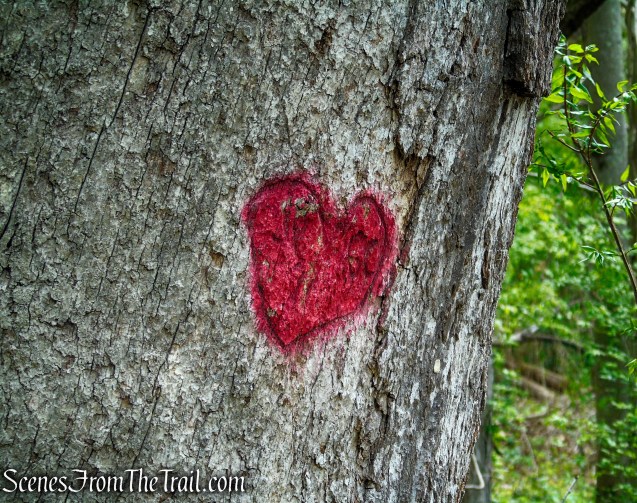 Nonnewaug Falls Open Space Preserve
