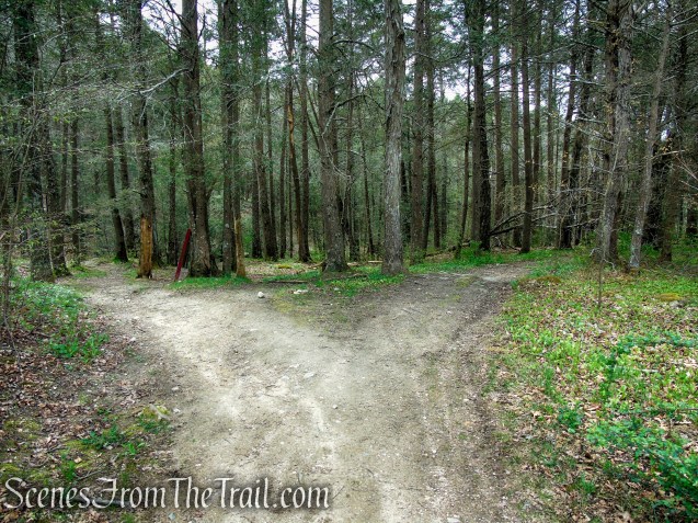 Nonnewaug Falls Open Space Preserve