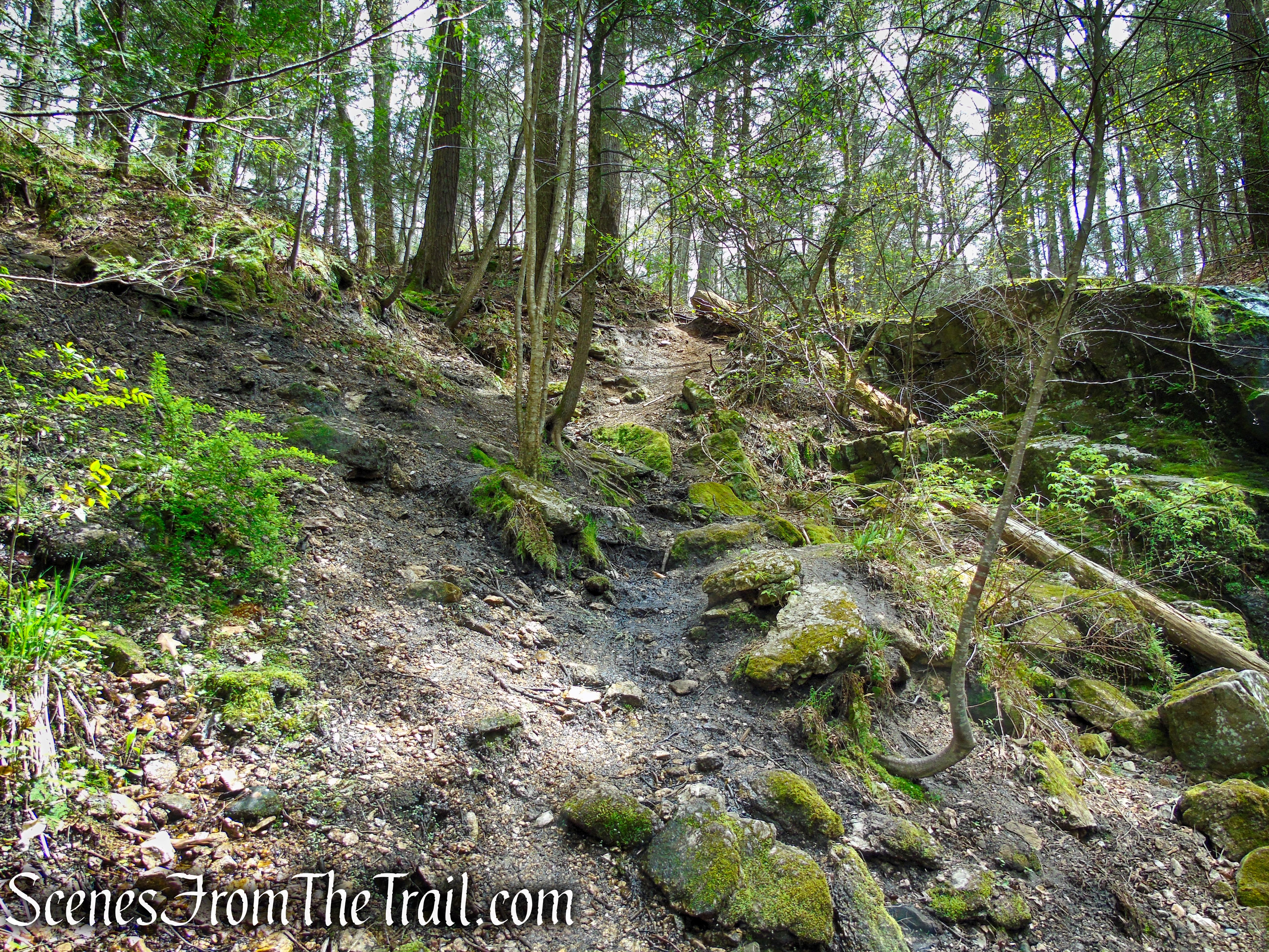 Nonnewaug Falls