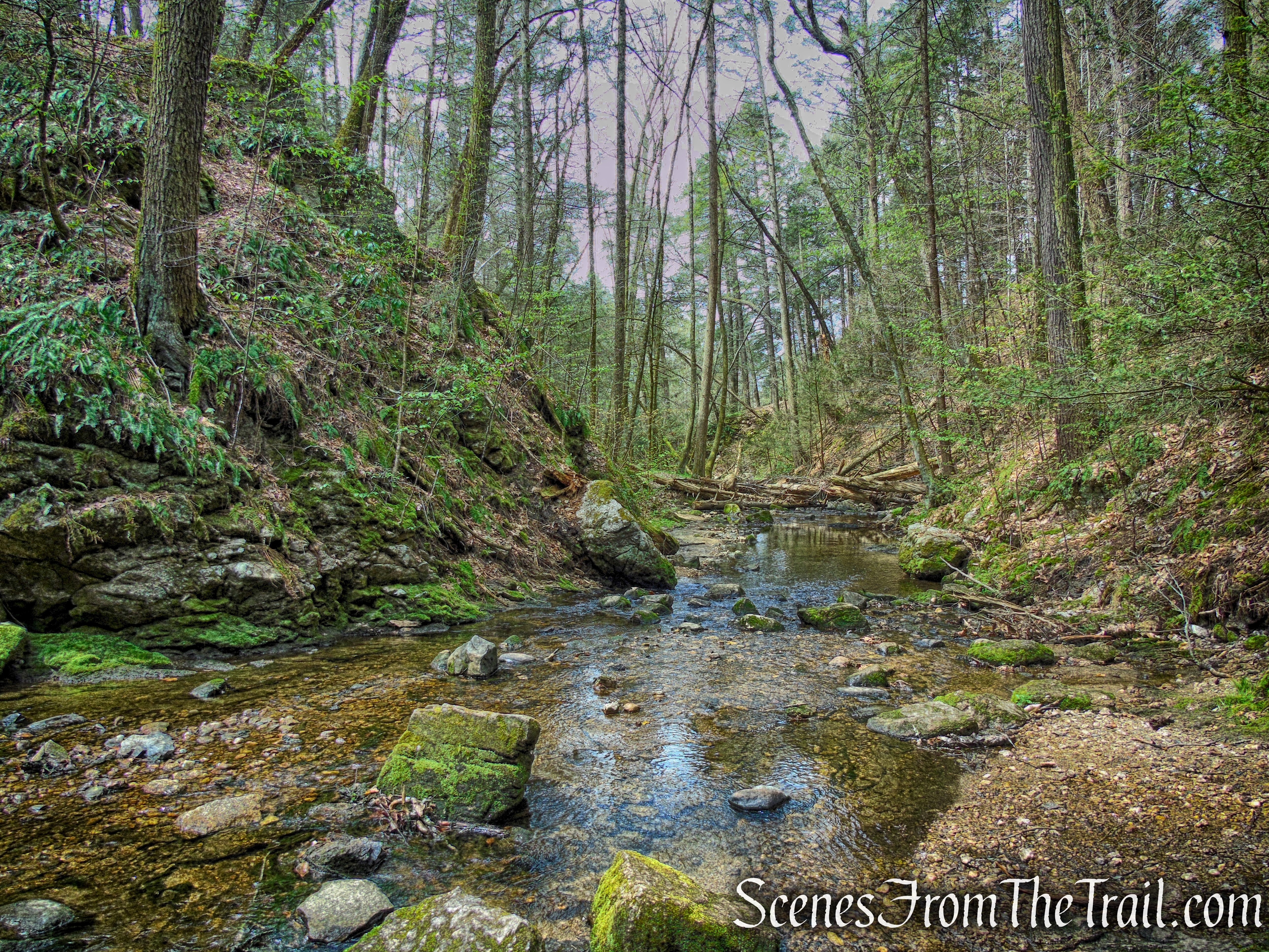 Nonnewaug Falls